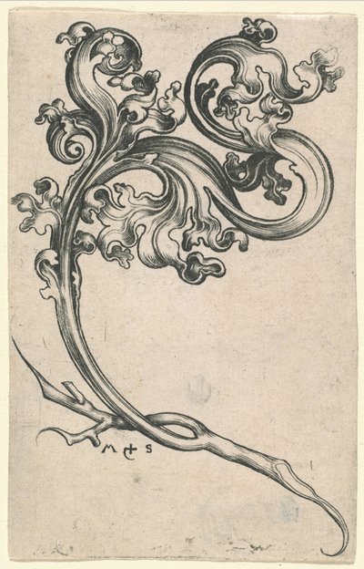 Yaprak Süsü by Martin Schongauer