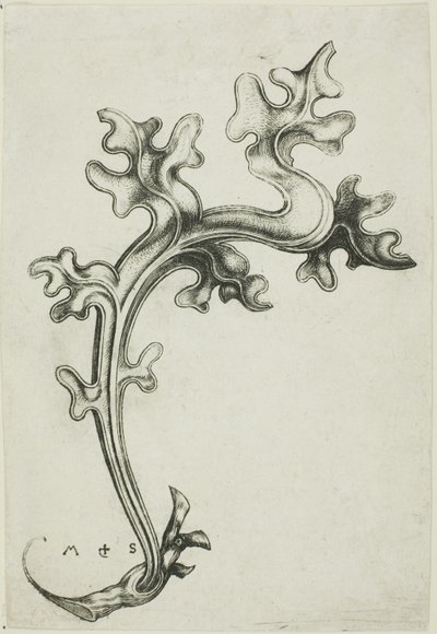  by Martin Schongauer