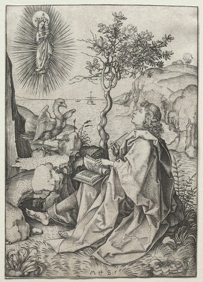 Patmos Adası'ndaki Aziz John Evangelist by Martin Schongauer