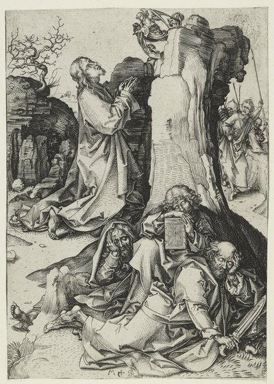 Spondilusu betimleyen beher, bir yumuşakçanın parlak kırmızı kabuğu, MS 800-1350 (dövülmüş altın)urki by Martin Schongauer