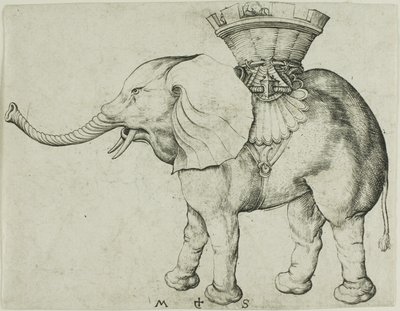  by Martin Schongauer