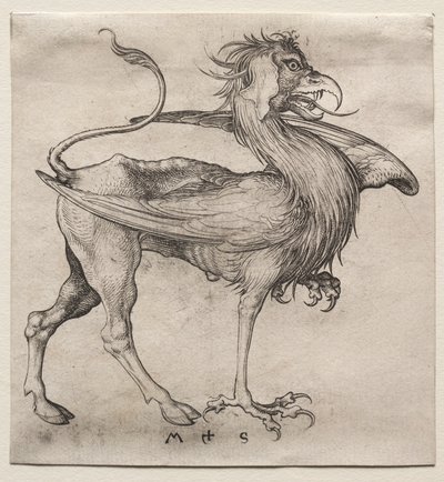 Griffin by Martin Schongauer