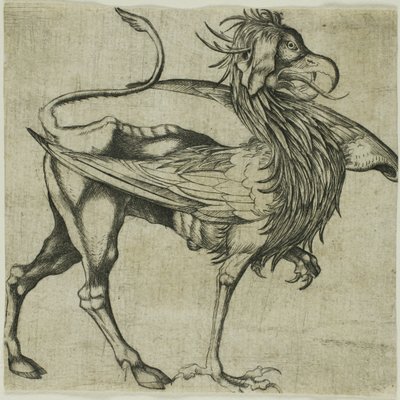  by Martin Schongauer