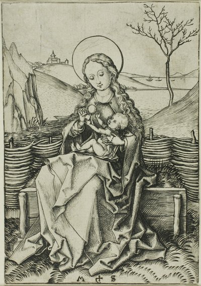  by Martin Schongauer