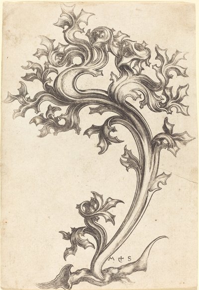 Devedikeni Süsleme by Martin Schongauer