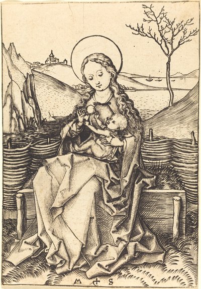 Çimenli Bir Bankta Bakire ve Çocuk by Martin Schongauer