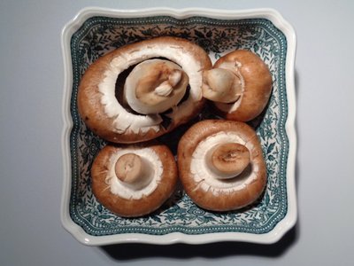 Villeroy ve Boch mantarlı porselen by Martina Konitzky