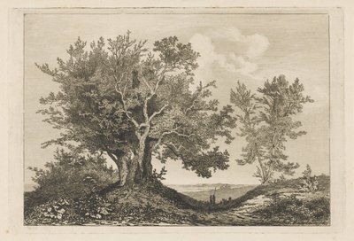 İki ağaç arasında köy yolu by Martinus Antonius Kuytenbrouwer jr.