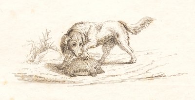 Hey tarafından "Çocuklar için Yarım Yüz Masal" için İllüstrasyon by Martinus Rørbye