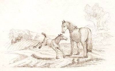 Hey tarafından "Çocuklar için Yarım Yüz Masal" için İllüstrasyon by Martinus Rørbye