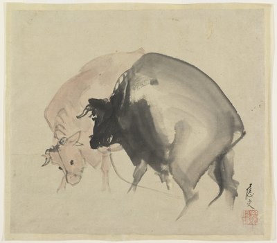 Two Bulls, c.1810 (kağıt üzerinde mürekkep ve renkler) by Maruyama Oju