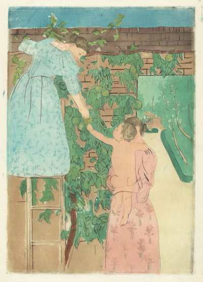 Meyve Toplama, c. 1893. by Mary Cassatt