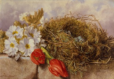 Bir Natürmort Çiçeği Laleleri ve Bir Çıkıntıdaki Kuş Yuvası (kalem ve sulu boya) by Mary Elizabeth Duffield