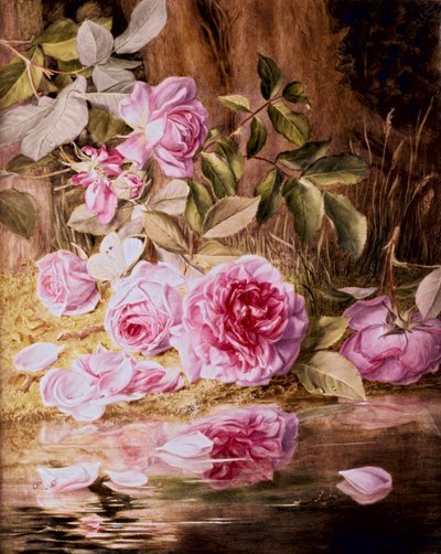 Blairie Gülleri (kağıt üzerine sulu boya) by Mary Elizabeth Duffield