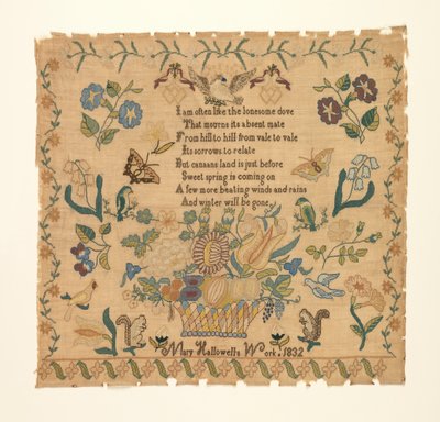 örnekleyici by Mary Hallowell