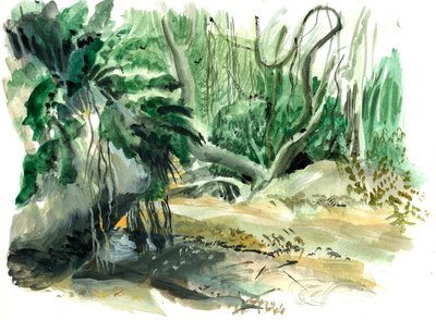 Tyrona, orman, 2008 (suluboya) by Mary Kuper