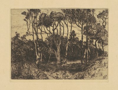 Yalnızlık by Mary Nimmo Moran