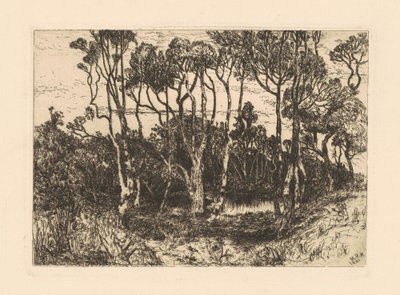 Yalnızlık by Mary Nimmo Moran