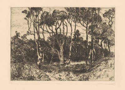 Yalnızlık by Mary Nimmo Moran