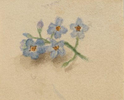  by Mary Vaux Walcott