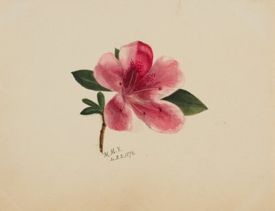  by Mary Vaux Walcott