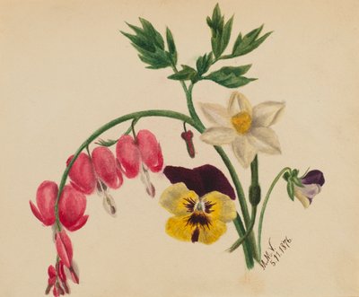  by Mary Vaux Walcott