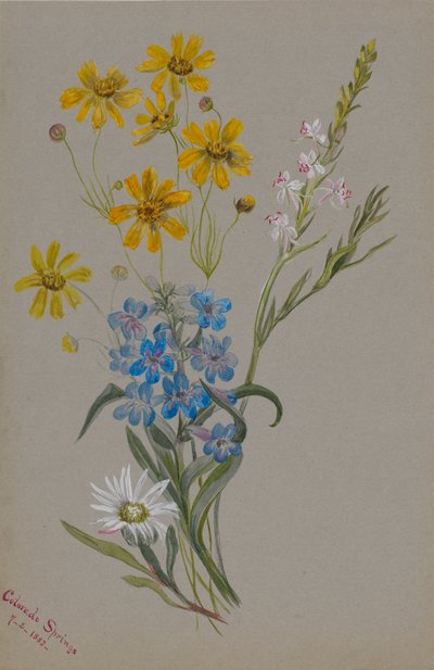  by Mary Vaux Walcott