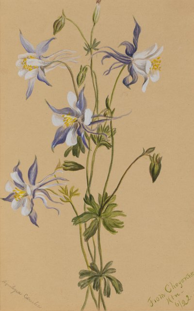  by Mary Vaux Walcott