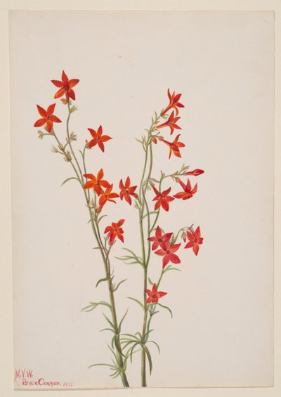  by Mary Vaux Walcott