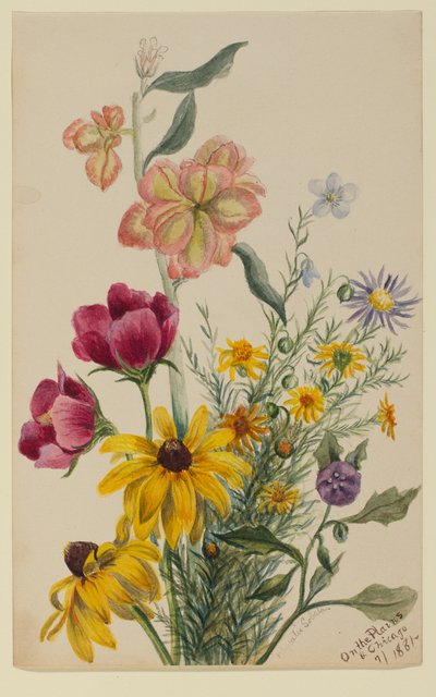  by Mary Vaux Walcott
