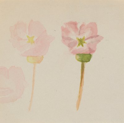  by Mary Vaux Walcott
