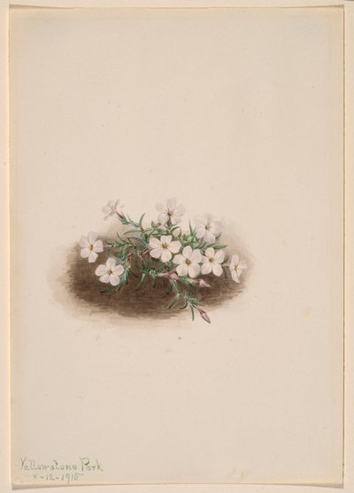  by Mary Vaux Walcott