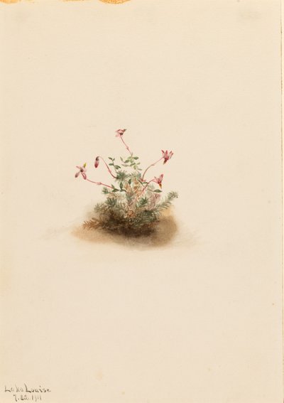  by Mary Vaux Walcott