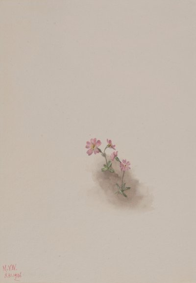  by Mary Vaux Walcott