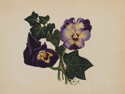  by Mary Vaux Walcott