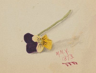  by Mary Vaux Walcott
