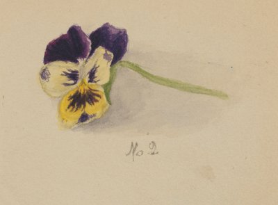  by Mary Vaux Walcott
