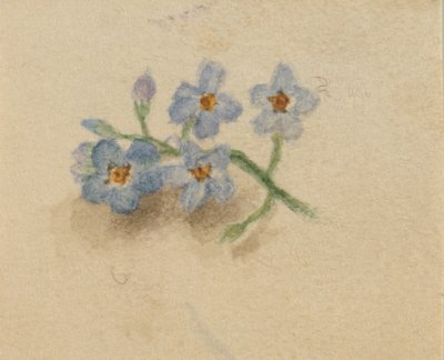 İsimsiz, 1874. by Mary Vaux Walcott