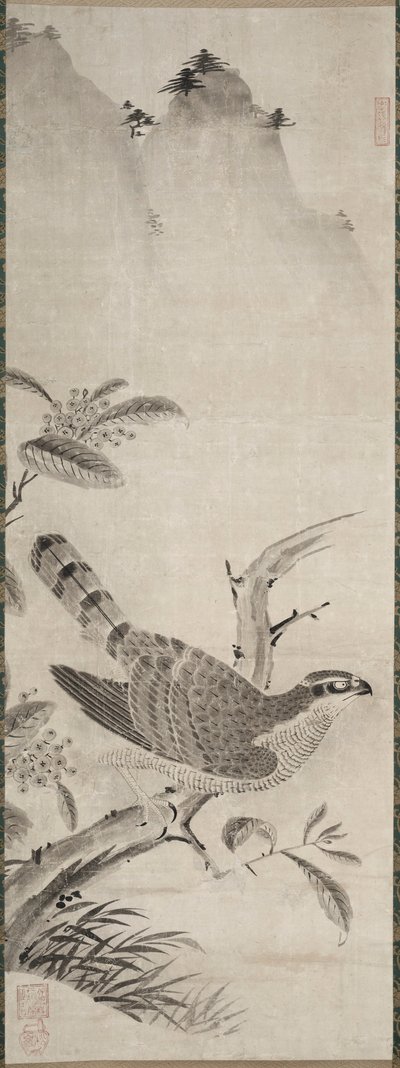 Şahin, 1500