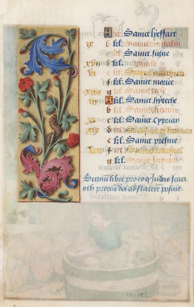 MS Lewis EM 11:22v XII. Louis Saatleri, 1498-99'dan akantus, pembe ve tırtıllı Çiçek Paneli (parşömen üzerine tempera ve altın) by Master Claude de France