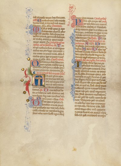 İlk N: Haç by Master of the Brussels Initials