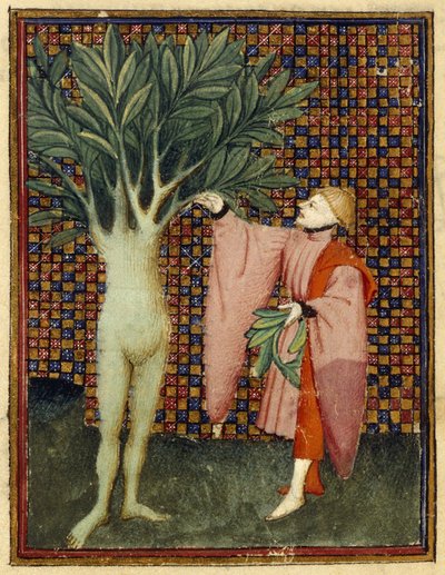 Apollon ve Defne by Master of the Cité des Dames