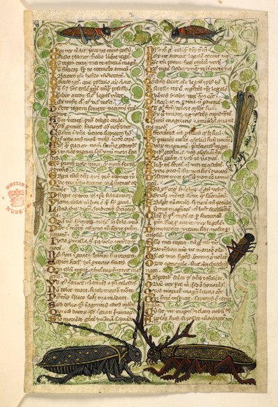 Ekle. 28841, f.2: Boynuzlu böcekler, cırcır böcekleri ve bir lokus.  Erdemler ve Kötülükler Üzerine İnceleme ve Sicilya