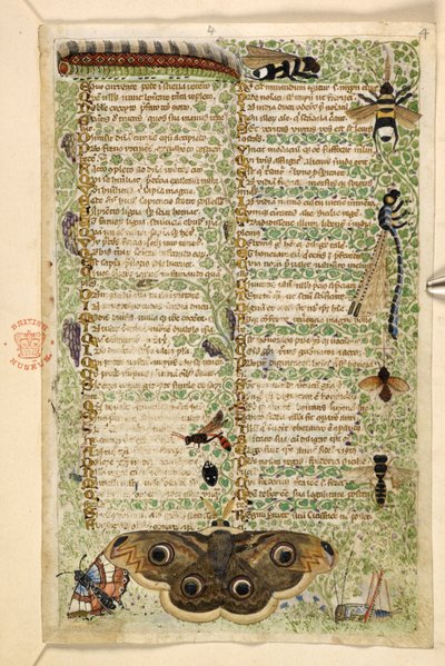Ekle. 28841, f.4: Bir Treatise on the Virtues and Vices