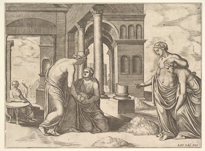 Levha 22: Venüs, Psyche