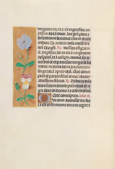 İspanya Kraliçesi Katolik Kraliçe Isabella