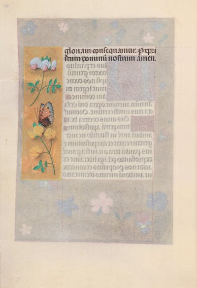 İspanya Kraliçesi Katolik Kraliçe Isabella