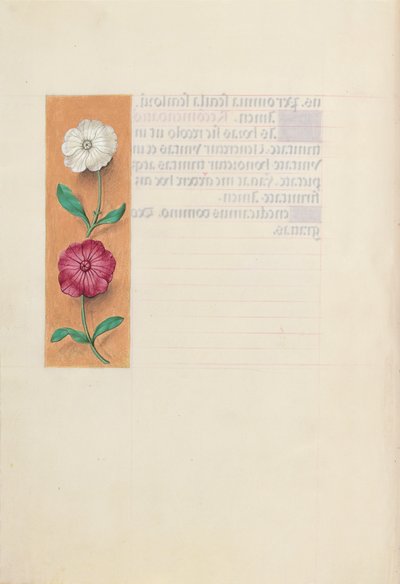  by Master of the First Prayerbook of Maximillian