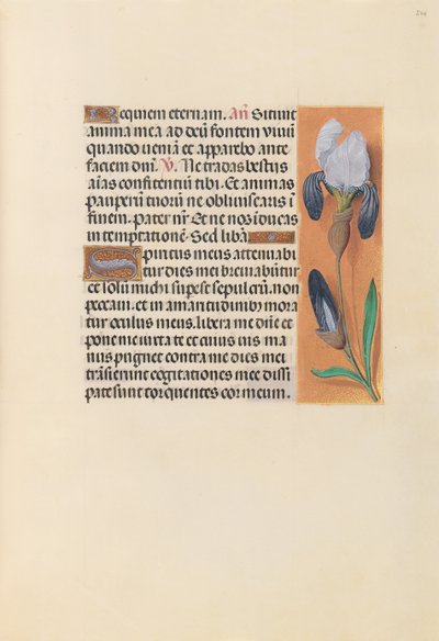 İspanya Kraliçesi Katolik Kraliçe Isabella