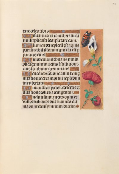  by Master of the First Prayerbook of Maximillian